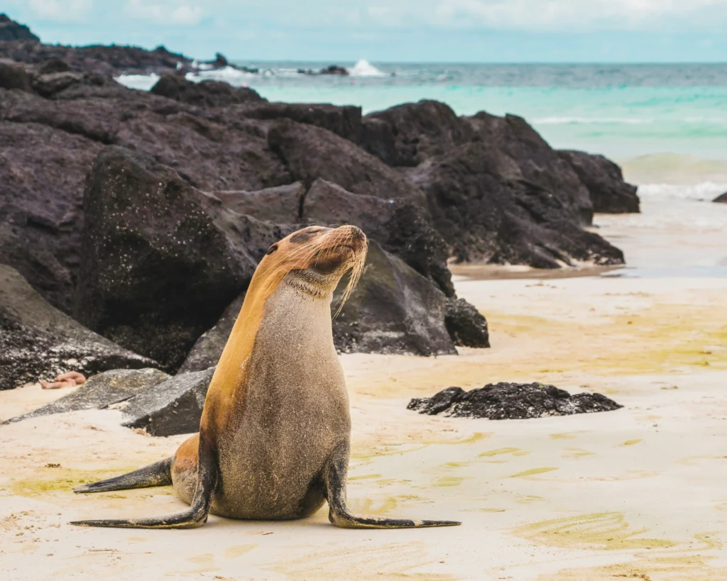 Galapágy